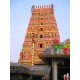 காரமடை